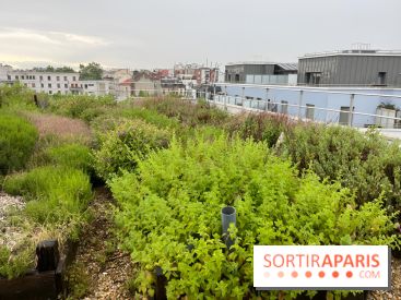L'aromathèque Persépolis, sur le toit de la bourse du travail à Saint-Denis - nos photos