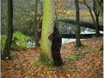 les rêves de margaret