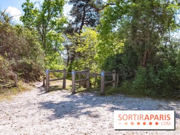 Liaisons douces à Fontainebleau : la forêt à vélo, les photos