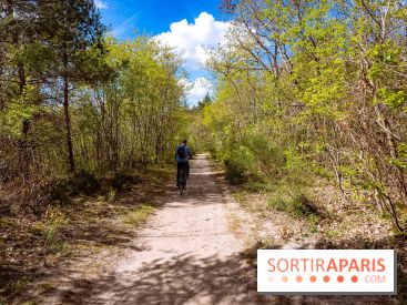 Liaisons douces à Fontainebleau : la forêt à vélo, les photos