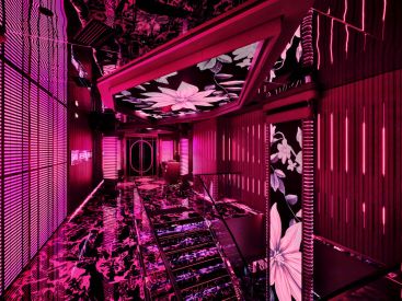 REVO PartyBox à Bastille : karaoké immersif et salons privatifs à Paris - db2a3690991e0bdcf813b9e44e44e804
