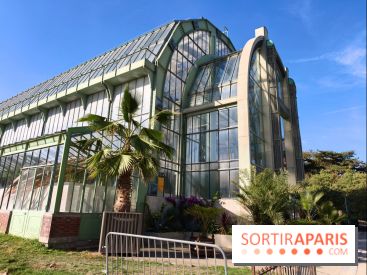 Automne tropical 2026