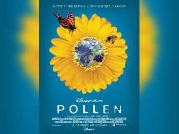 Pollen, Cinéma, Disney