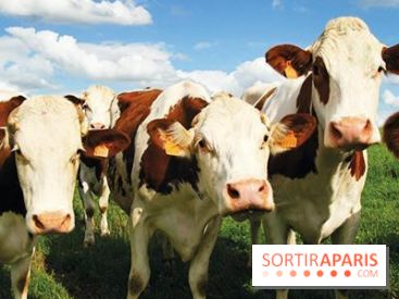 Les labyrinthes de la Ferme de Gally