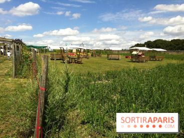 Les labyrinthes de la Ferme de Gally