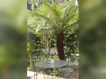 Hôtel renaissance, le parc  Trocadéro, Mariott, Jean-Philippe Nuel, 16ème arrondissement, 5 étoiles