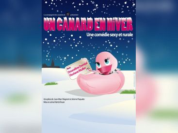 canard en hiver