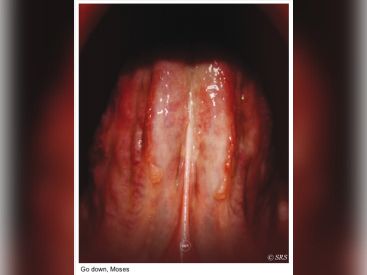 Portrait Roméo Castellucci : Go down, Moses, au Théâtre de la Ville