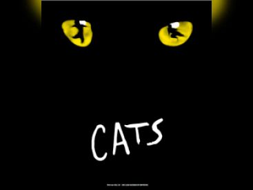 cats mogador