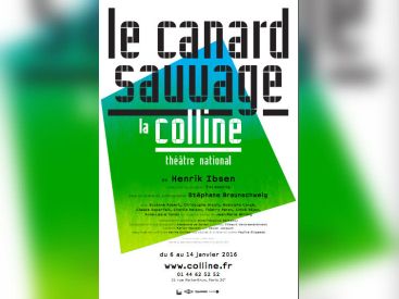 le canard sauvage