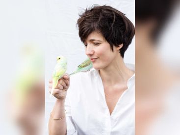 rosa maison des métallos