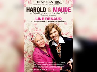 harold & maude