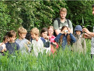 Animations Nature 2014