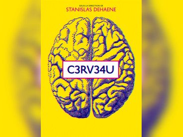 Cerveau, exposition Cité des Sciences