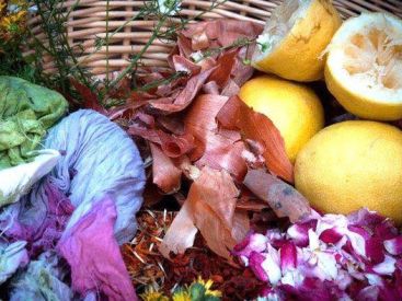  atelier de teinture végétale