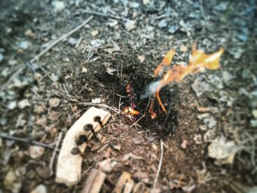 stage de survie en forêt de Poissy