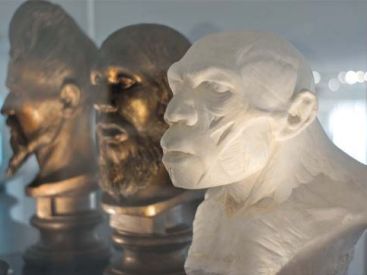 Néandertal au Musée de l’Homme