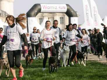 Wamiz Run 2018, la course avec nos chiens au Bois de Vincennes