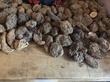 Exposition De(s)rives sur le marché place d'Aligre