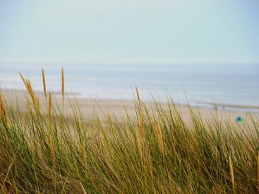 Hauts-de-France : la liste des plages ouvertes ce week-end des 16 et 17 mai