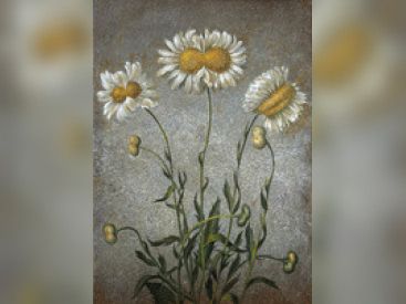 Laurent Grasso au Musée d'Orsay