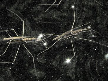 Nuit Blanche 2020 au Musée Bourdelle