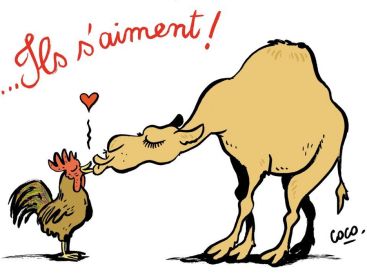 Exposition BNF gratuite, exposition Dessin de presse, exposition France-Algérie, Coco, Ils s’aiment, 2011 © Coco