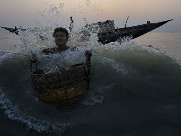 exposition Photo par Nature Jardin des Plantes, exposition photo jardin des Plantes juin 2012, exposition Xavier Desmier paris juin 2012, exposition Xavier Desmier Jardin des Plantes | Pecheurs Dubla ©Xavier-Desmier