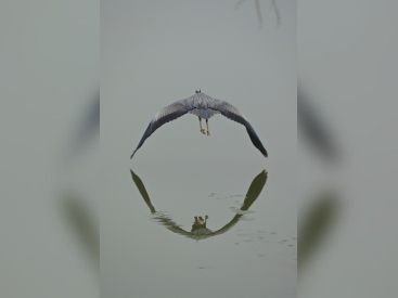 exposition AHAE au Chateau de Versailles