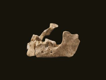 Sur les traces des premiers parisiens, l'exposition au Musée Carnavalet