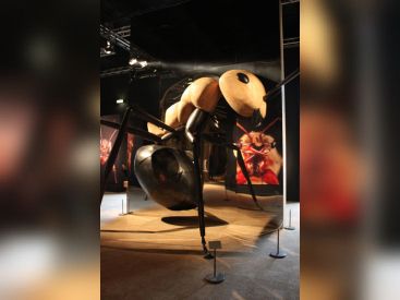 Mille milliards de fourmis, l'exposition au Palais de la Découverte