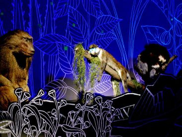 Exposition Nuit au Muséum national d'Histoire naturelle