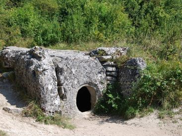Fête de la Nature 2024 au Bois de Morval à Guiry-en-Vexin dans le Val d'Oise