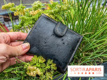 Plan d'épargne avenir climat, pour quand, qui et à quel taux ? Tout ce qu'il faut savoir