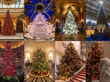 Top 13 des plus beaux Sapins de Noël à Paris 2024 : de quoi mettre des paillettes dans vos yeux
