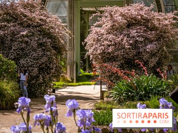 10 parcs et jardins à Paris et en Île-de-France à découvrir absolument en mai 2025 - jardin des plantes