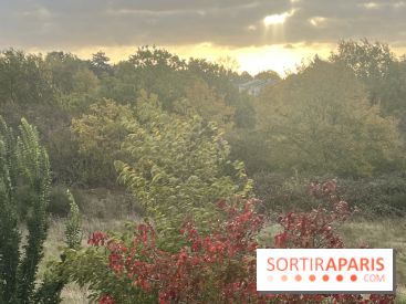 Tempête Benjamin : parcs et jardins fermés en Île-de-France