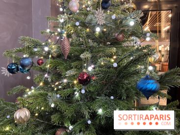 Le Marché de Noël de Thoiry 2025 - 78