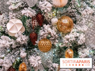 Ce Marché de Noël en Essonne promet chocolat chaud et passage du Père Noël avec ses rennes