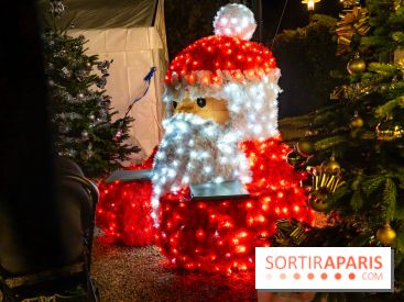 Un charmant village de noel dans le Val d'Oise ce week-end avec patinoire gratuite