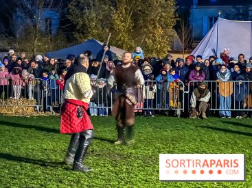 Fête Viking et Marché médiéval vous attendent dans le Val d'Oise