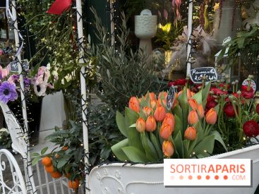 La foire aux Plantes de Crèvecœur-En-Brie 2026 (77)