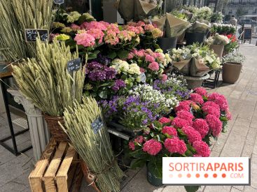 La Fête des Jardins de Sois-y en Essonne 2026