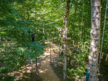 Jumping Forest, le parcours d'accrobranche ludique en forêt en seine-et-Marne (77)