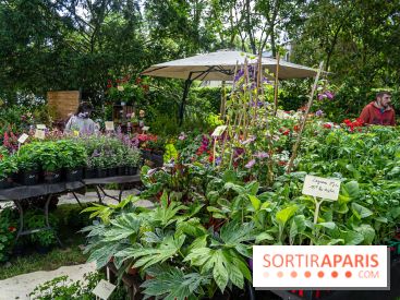 Seine-et-Marne : La Foire aux Plantes à Larchant 2026 : marché, troc et animations - 77