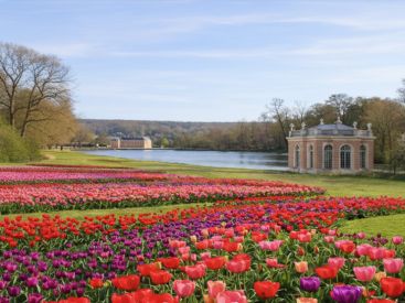 La Journée de la Tulipe au Château de Dampierre en Yvelines