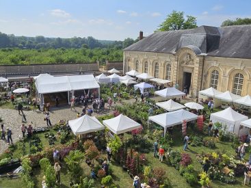 Eden, la Fête des Plantes au Château de La Roche-Guyon 2026 dans le Val d'Oise se réinvente