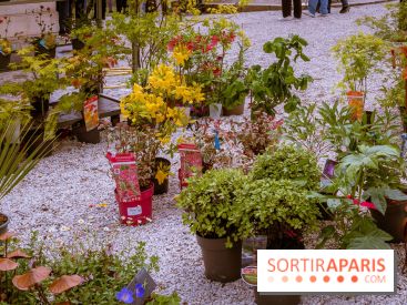Jardins en fête à Auvers 91