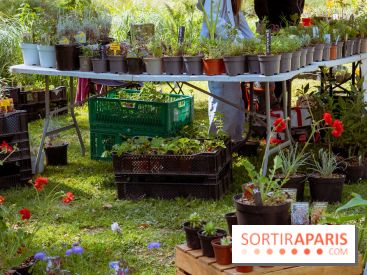 Les Naturiales 2026 à Fontainebleau : marché de plantes et animations nature en Seine-et-Marne