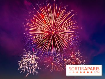 Après l'Essonne, les Yvelines, le Val d'Oise et la Seine-et-Marne interdisent les feux d'artifice